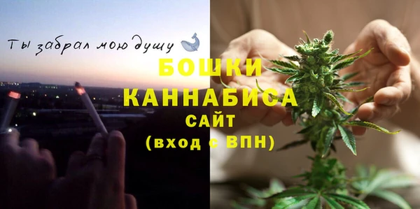 мяу мяу мука Белокуриха