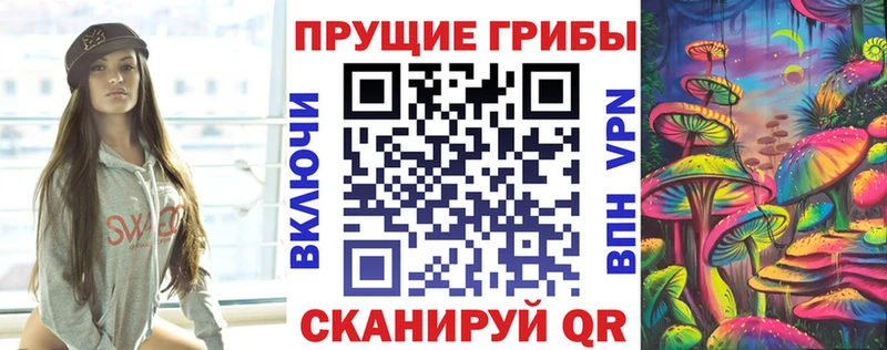 Галлюциногенные грибы Psilocybe  где купить наркоту  Михайлов 